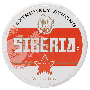Siberia Red White Dry Portion Snus, extra strong 43 mg/g nicotine, classic tobacco flavor, Swedish white dry portion for intense kick